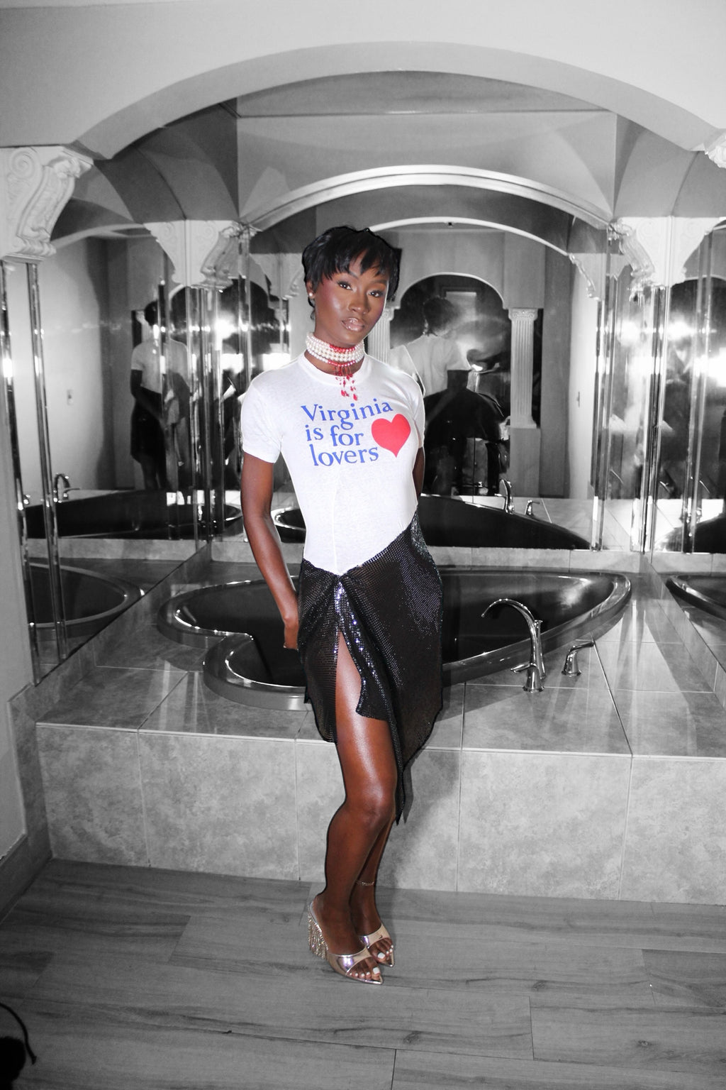 Virginia Is For Lovers Dress 001