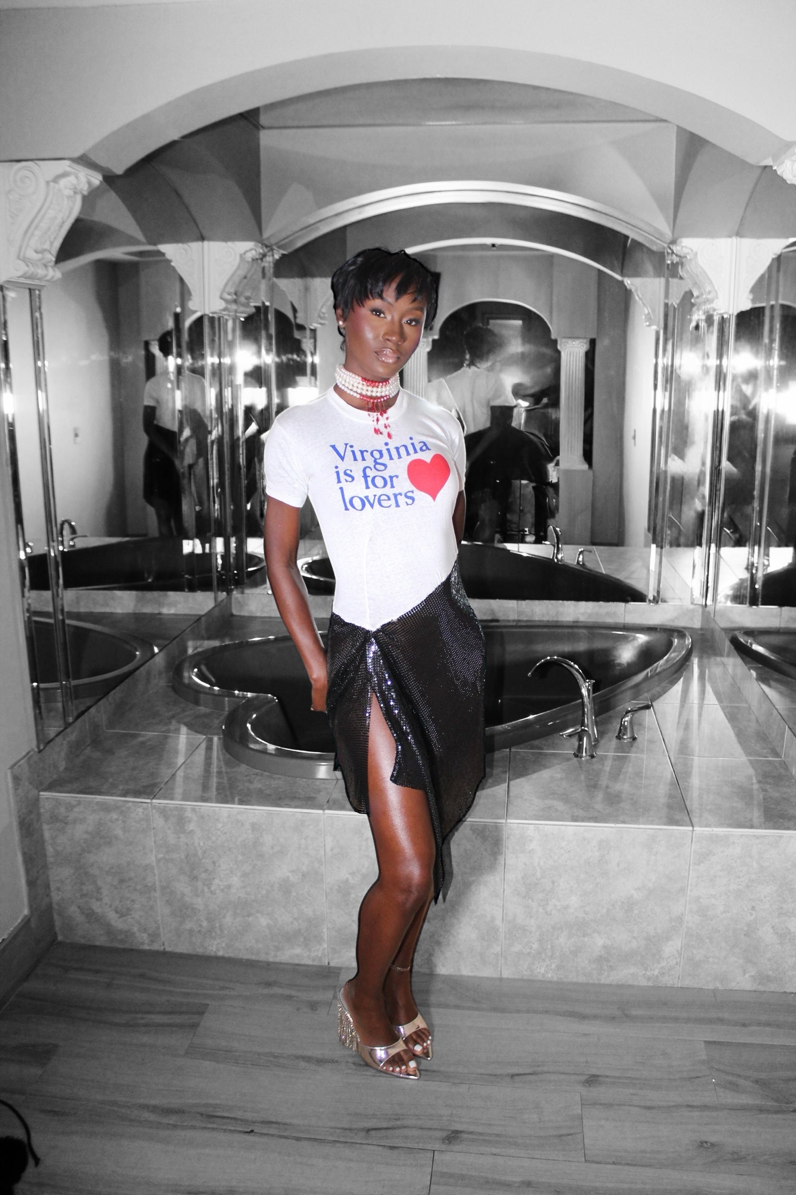 Virginia Is For Lovers Dress 001